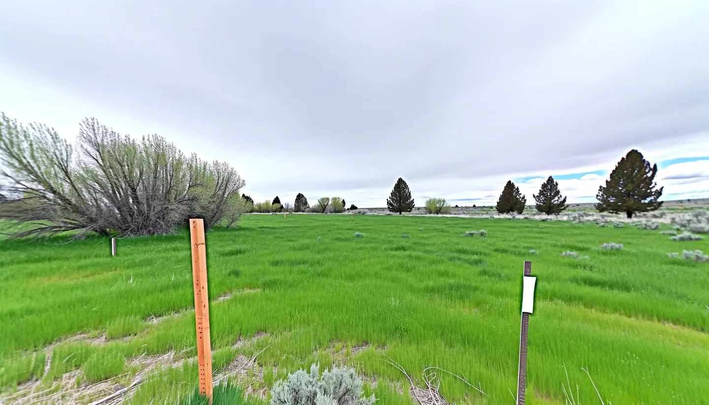 Vacant land parcel for sale in Yakima County, Washington with Pacific Northwest evergreen trees